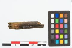 Foto von Holzbruchstücke (NHMW-PRAE-026877)